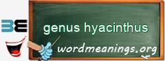 WordMeaning blackboard for genus hyacinthus